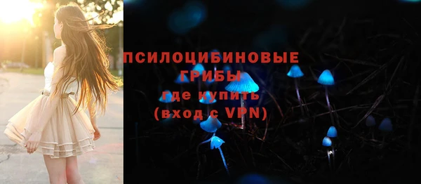 дурь Алексин