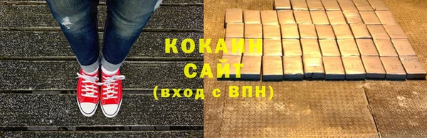 крисы Пересвет