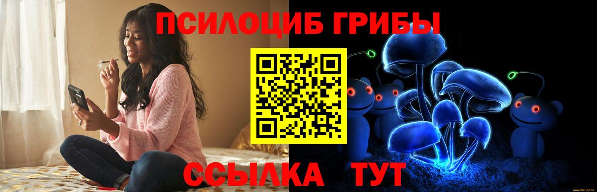 Жуковский  Псилоцибиновые грибы GOLDEN TEACHER  Галлюциногенные грибы мицелий  наркота  Вход с VPN 